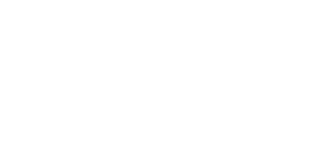 Falconbet 500x500_white